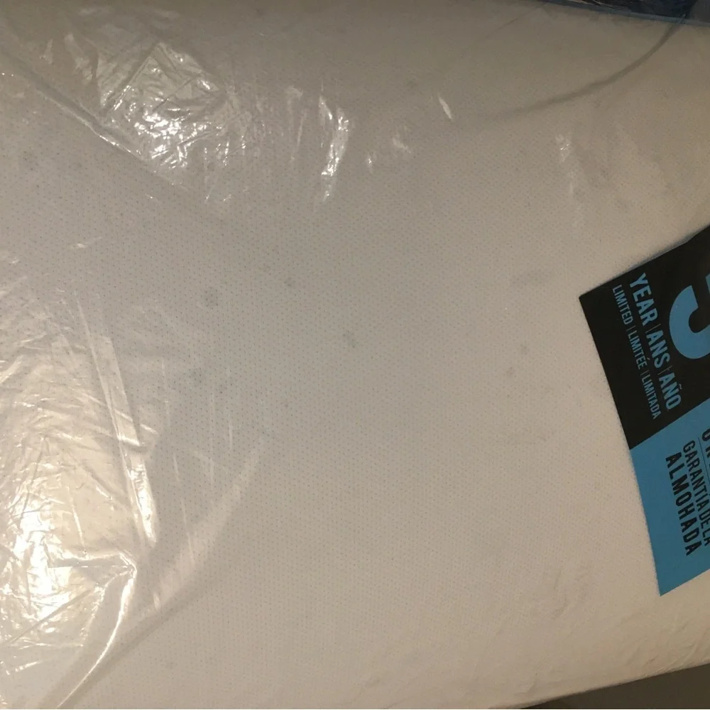 Serta standard size